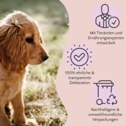 FAVLY Petfood Premium Naturkauartikel Rinderlunge 900 G 5 FAVLY Petfood Premium Naturkauartikel Rinderlunge 900 G -Haustier Angebote Store bf0295fc51175eb9c0e295a7e2fc491189dc6682 1473997 de DE a2c9f8d86d80fc90ca8f9c923a08051ec130ef8deOeplF