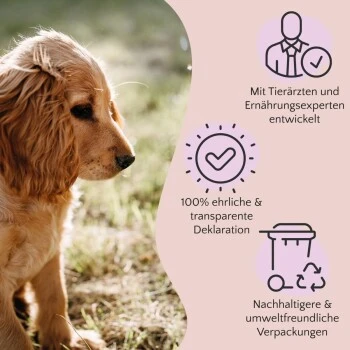 FAVLY Petfood Premium Naturkauartikel Rinderlunge 900 G 3 FAVLY Petfood Premium Naturkauartikel Rinderlunge 900 G – Bild 3