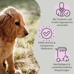 FAVLY Petfood FAVLY Probierpaket "Meat Roll" -Haustier Angebote Store bfb84361d73f660a80f9bdd3b9c7b03b3a337624 1475312 de DE 908544d2c24927cde4ce8f1acefe41ebea7bec296Yut1c