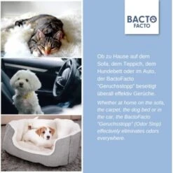 ChronoBalance BactoFacto Probiotischer Geruchsstopp Pads Für 2 Liter 20 Ml -Haustier Angebote Store c27e75fc226c89e592b2af9866887997e79057a8 1397549 de DE 11eaf103bff429178d8c79950fc83faf63345183BU6JEF