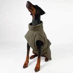 THE DOG IDEA Bademantel Every Khaki XXXS -Haustier Angebote Store c6567ee5fa23ab9a22b56936e6d4134ee2acea14 1473018 de DE 152849e6e27b535b9a56967a3d0992ac03ebbc6b46CQen