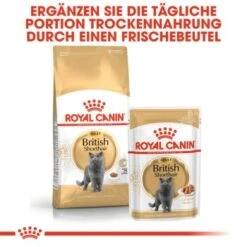 ROYAL CANIN British Shorthair Adult 2 Kg -Haustier Angebote Store c753bd00548b3887de38170504d89850cc579133 6ad27fa67d71d664216d6c9c00894ac1ba874172