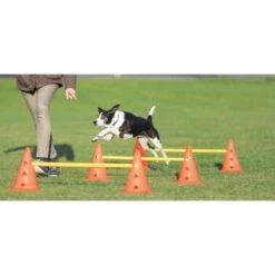 Trixie Dog Activity Hindernisse Ø23x30cm -Haustier Angebote Store cf5032631aac0df221da4281f2bf49a2321f1aa1 1287032 de DE Trixie Hindernisse wb 1