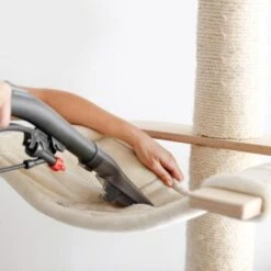 THOMAS AQUA FleckWasher -Haustier Angebote Store d0f5e8f3d8704727ae9f8d622c7075b7c423576b 1652086 de DE 2671b0968ff1af964b9b936f18c15a3e715921d8OZmc0o