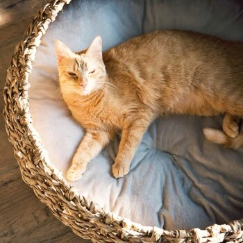 District 70 COCOON Natural M 4 District 70 COCOON Natural M – Bild 4