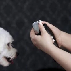 Moser Schermaschine Arco Pro 19 Moser Schermaschine Arco Pro -Haustier Angebote Store d1c65d2d167a6d8fa4a6793a53ee3362d025451e ecb090312fbe9e8eac9c719cb575336bebaad472