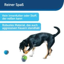PetSafe Elektronisches Hundespielzeug Ricochet -Haustier Angebote Store d4449f153a2c132dbacdcffdb9e5bd1534d39124 1418724 de DE f83cfc689e8023f0b85b6eeadf79a2629df4d4f153I9wY