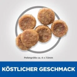 Hill's Science Plan Small & Miniature Adult 1-6 Huhn 6 Kg 13 Hill's Science Plan Small & Miniature Adult 1-6 Huhn 6 Kg -Haustier Angebote Store d5048d301a1eaa8251f8f9243ebc17205d8294c7 52742282107 6