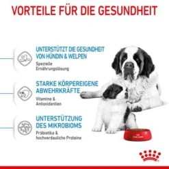 ROYAL CANIN Giant Starter 15kg 13 ROYAL CANIN Giant Starter 15kg -Haustier Angebote Store d514ef03606b57b35e1895eeb5926efaddf3e02c 3182550778831 5