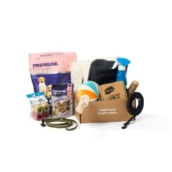 BOX Fressnapf Welpentrainingsbox Mit André Vogt