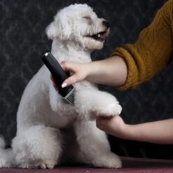 Moser Schermaschine Arco Pro 16 Moser Schermaschine Arco Pro -Haustier Angebote Store d94979d61f2023cf0118c8257a8bd4066fa8858b ed4a0b808fc43743a84927566ac43a708eadd5ba