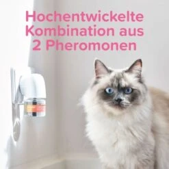 Beaphar CatComfort Excellence Starter-Kit 48ml -Haustier Angebote Store dc9c523dc7185c6fb064dba2b9c7de82f17a2005 1416646 1 5