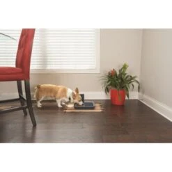 PetSafe Digitaler Futterautomat Für 2 Mahlzeiten -Haustier Angebote Store dd3fb1748ad72abb1dbd97f6f077b00bb4d76d05 1291255 de DE cf72a75b3fd4f7fd8b7e51ea368585b22239110fFJga5O