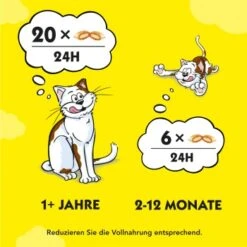 Dreamies Snack-Vielfalt 12x60g -Haustier Angebote Store e1b190f4f53100ff83c0fb6481ba747fb1f78bad 1297459 2