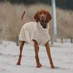 THE DOG IDEA Bademantel Every Beige XXXS -Haustier Angebote Store e3729773c9f5b61c18a464eeb5076e81a866013e 1472946 de DE ac504db57b88122680c4cb56470ea23721b69c99VnzO7V