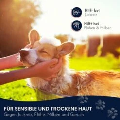 Pawlie's Sensitiv Hundeshampoo Für Hunde -Haustier Angebote Store e89fe06ff66f08049212bfc10adc10153aeb63cf 1626194 de DE 4976fc58bb1aa66ec74bbce2250fc22a134be1c3oYKgL0