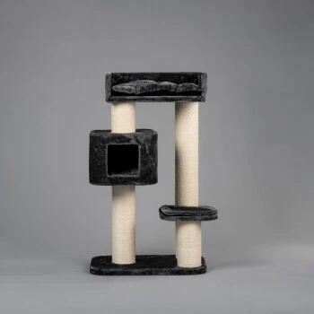 RHR Quality Kratzbaum Devon Rex 1 RHR Quality Kratzbaum Devon Rex