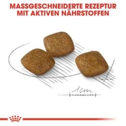 ROYAL CANIN Relax Care Mini 3 Kg -Haustier Angebote Store ee8417f9056b78273a542fd92ec756cc82f9912c 970797e7498619ffbe42c8ca5f066f50291ce3ed