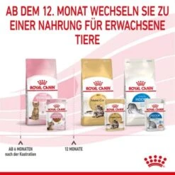 ROYAL CANIN KITTEN STERILISED In Soße 12 X 85g -Haustier Angebote Store f24914890e93bb258bba02c00adf6300f771d67b 1298264 de DE Kittenster 8