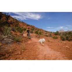 Ruffwear Swamp Cooler Zip™ Kühlweste Für Hunde Pink XL -Haustier Angebote Store f39337d577f60e5d30ba5addfb811febecbc66e7 1639652 de DE 1ff9fca93caed68be3a65cc55ad0d154f81bf268suJpN2