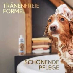 Pawlie's Welpenshampoo 10 Pawlie's Welpenshampoo -Haustier Angebote Store f56801adb1bee6d0b5fdd328d641fa773ce5d4c4 1626204 de DE 7b87b87a2e48e8c0e12b98c918c4d75b538aae40E5TfEc