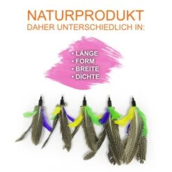 Schlitzohr Katzenangel Federanhänger 5x -Haustier Angebote Store f6a96b93601c3b2f6f7420ade3ecfe56542cca74 1484675 de DE b1d2fd29ad67016b9a6af908251d348edfa467f2BG8aWR