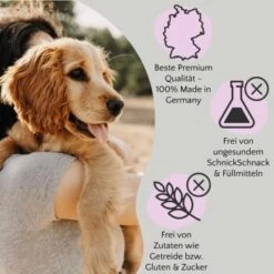 FAVLY Petfood FAVLY Probierpaket "Meat Roll" -Haustier Angebote Store f95f6d73b471bb4d2f747832dc517a14a97951b3 1475312 de DE 1599c09ca60134efdb65d5d73f221243ffcd3c9aM1RqUZ