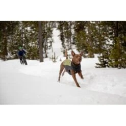 Ruffwear Climate Changer™ Fleece-Pullover Für Hunde Rot S -Haustier Angebote Store fc22c2bf571467d3b4a13f07039506d1e744f556 1369661 de DE a9fba8eb5491b88489a9522880e926a6833ccfbe7NJDVr