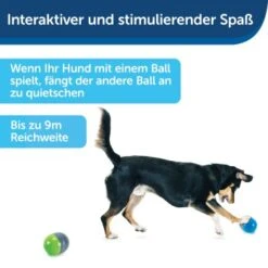 PetSafe Elektronisches Hundespielzeug Ricochet -Haustier Angebote Store fde7c0cc07cd70611ca47b65ddae3e632f160d94 1418724 de DE 4f6e4953c50827cae26a42d6d5890e56447a49a4XQHEwC