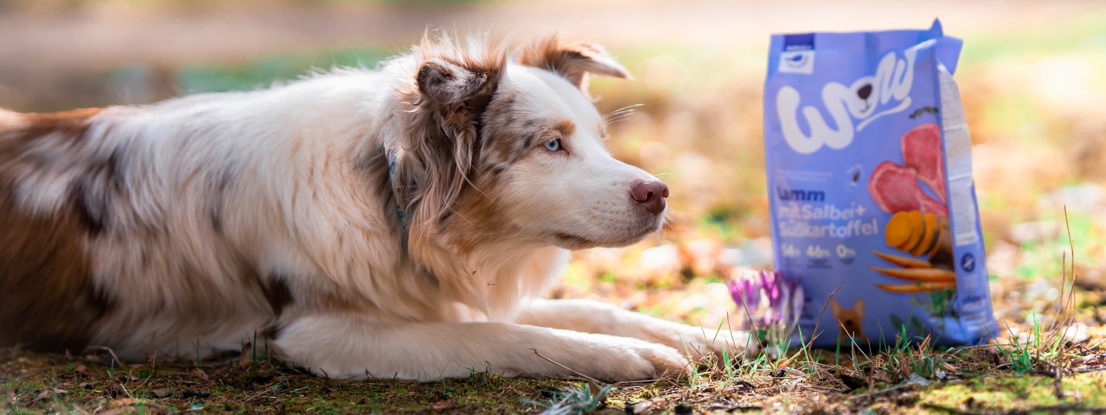 Haustier Angebote Store -Haustier Angebote Store hrheerre